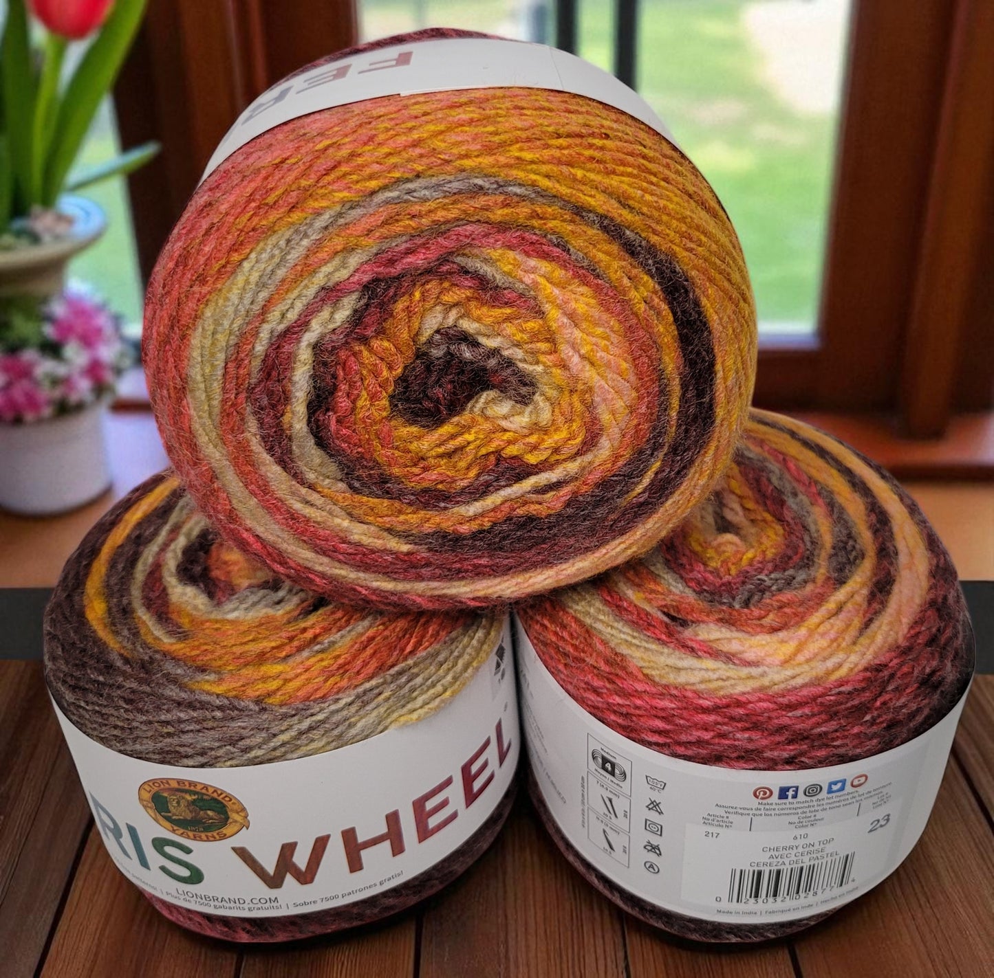 Ferris Wheel Roving Worsted Weight Yarn