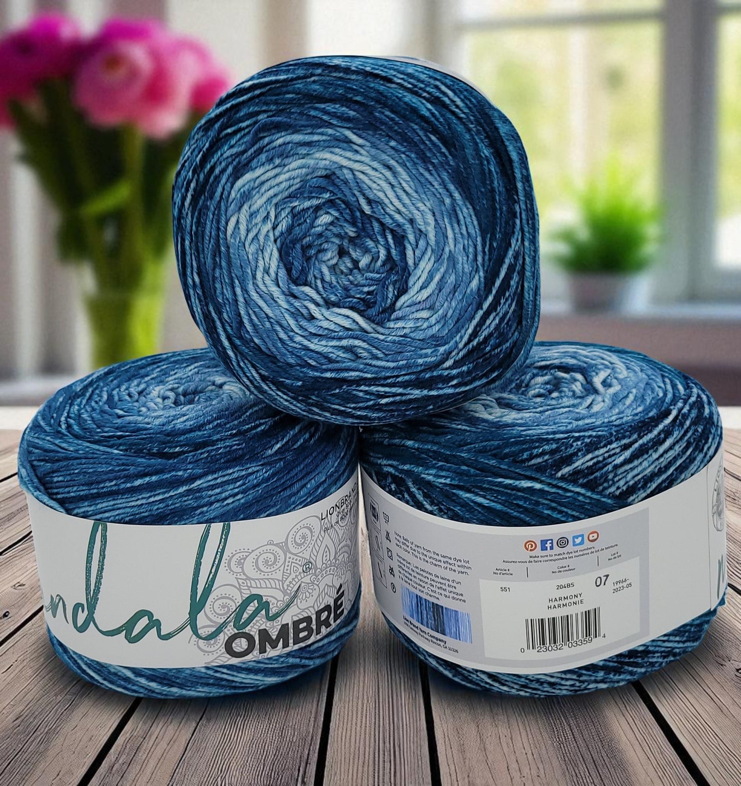 Mandala Ombre acrylic multi-colored worsted weight yarn in Harmony, 344-yard skein