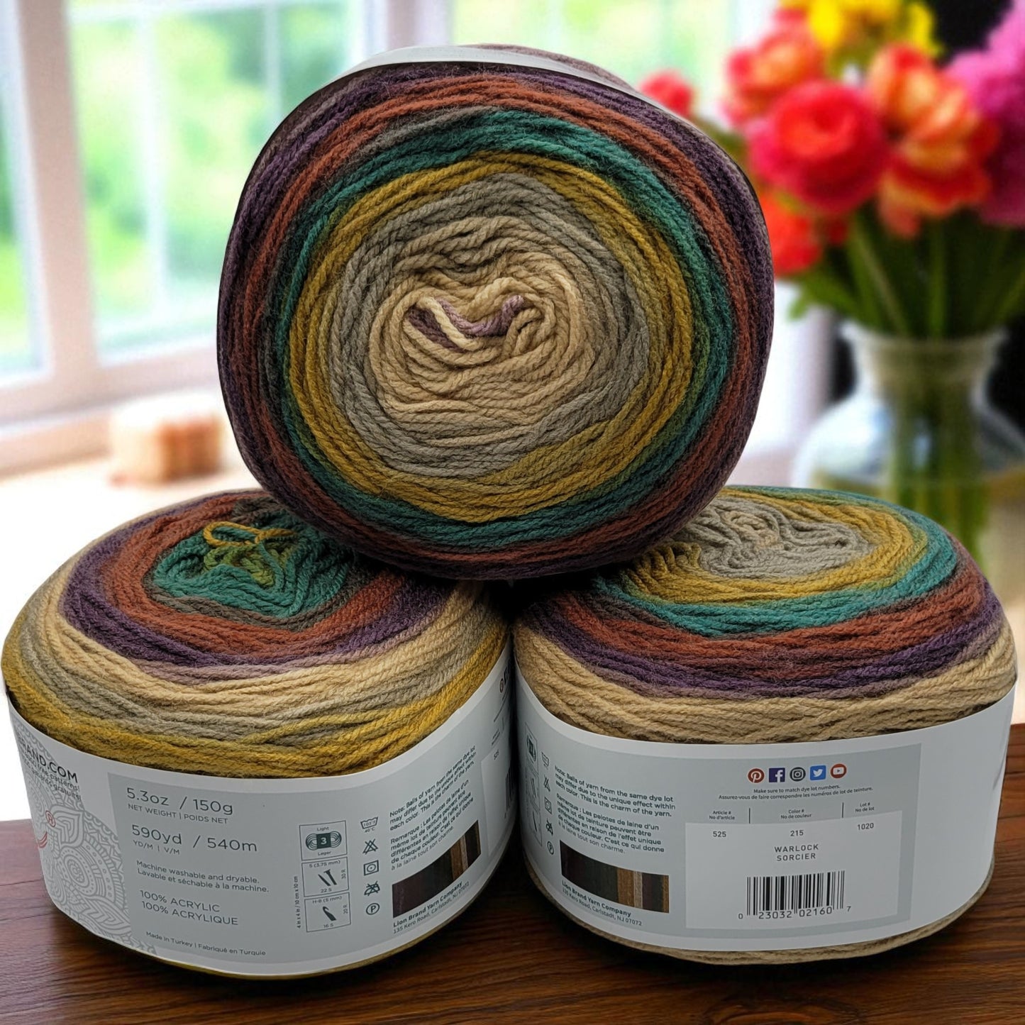 Mandala yarn in Warlock — multicolored self-striping acrylic, 590-yard skein